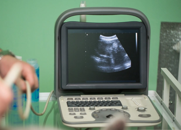 Dignostic Imaging of a pet that is beign examined