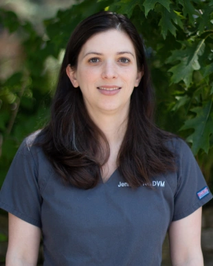 Dr. Jennifer Yeh