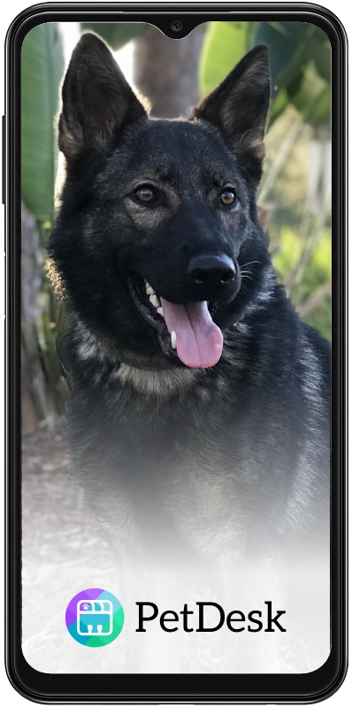 Smartphone displaying the PetDesk app for managing veterinary appointments, reminders, and pet health records.