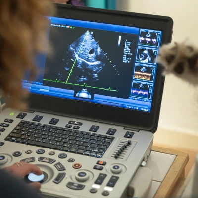 Diagnostic Care