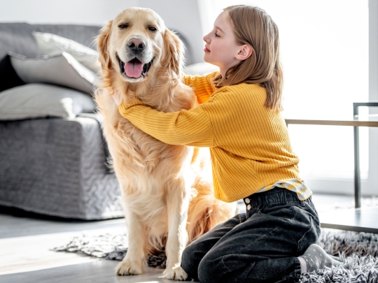 preventative-care-is-essential-for-pet-health